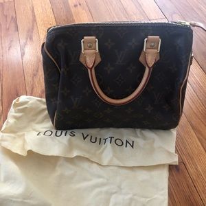 Louis Vuitton Small Handbag